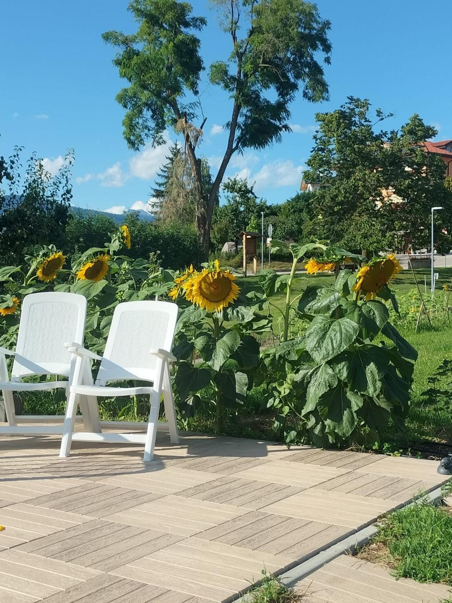 I girasoli Sanzeno Esterno foto